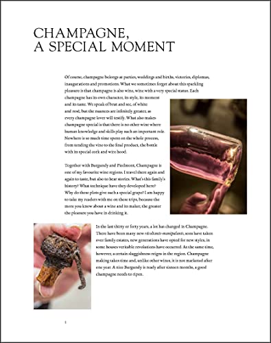 Acc Art Books 9781913141356 On Champagne: A Tapestry Of Tales To Celebrate The Greatest Sparkling Wine Of All… thumb #2