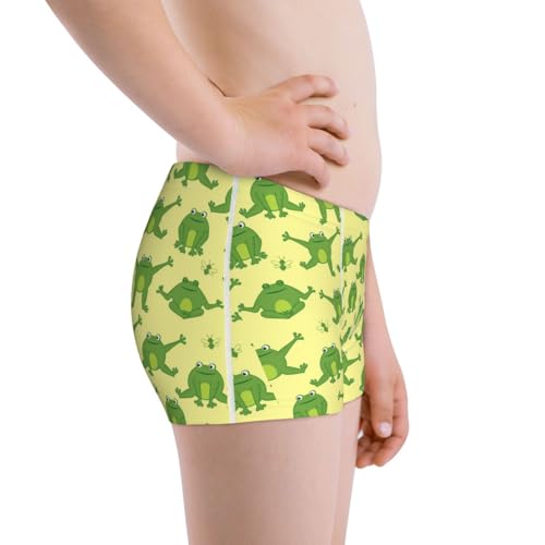 Boys' Cotton Boxer Brief Soft Underwear-Funny Frogs2