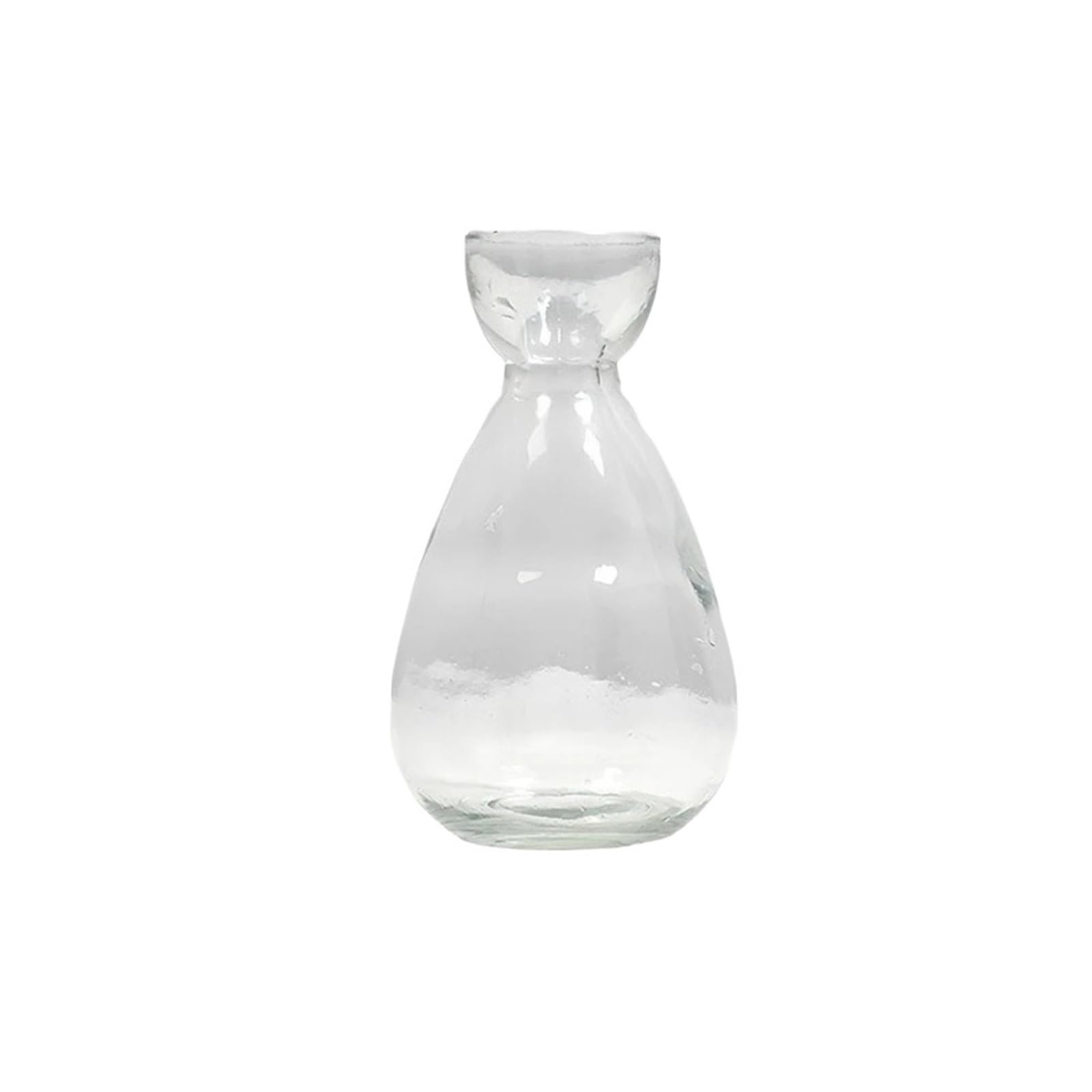 Geometric Vases Creative Vase Glass Hydroponic Seed Avocado Home Desktop Decoration Ornament Gardening Lovers(Circle)