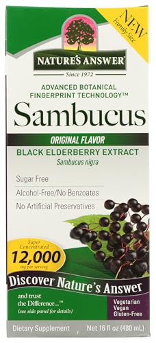 Natures Answer Sambucus Elderberry Syrup 16 Ounce | Great Tasting Immune Support Supplement | Antioxidant Vegan Gluten Free Made in USA | Single Count
