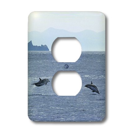 Dauphins à rayures Açores double prise murale coque décorative cache-prise 3Drose LSP 45535 6