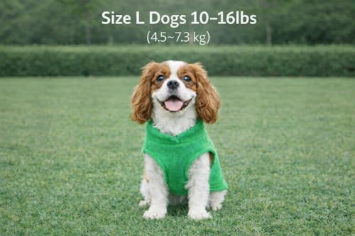 Image of JACKO & CO - Fleece Vest Dog Sweater with Leash Ring - Soft, Warm & Lightweight Pullover Coat for Small & Medium Dogs, Puppies & Cats - Cozy Fall /Winter /Spring Pet Jacket (Green, Large 10-16lbs)