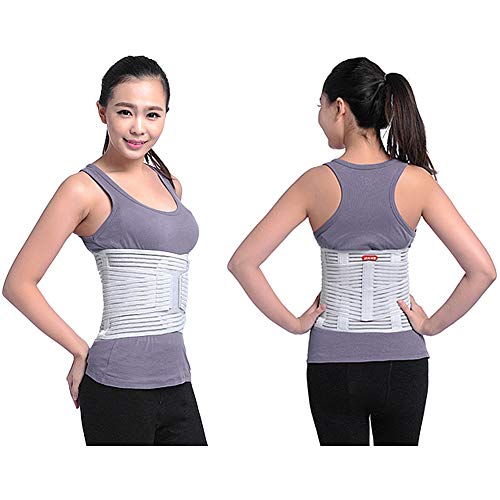 ZFF Respirable Soporte Lumbar Cinturón,Inferior Atrás Apoyo,para Hombre Y Mujer Columna...
