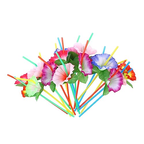 PLAFOPE 20{ P Xg[ hN Xg[ vX`bN ĝ   ??Xg[ t P ԕt OX  ??Xg[ p[eB[ hN Xg[ vX`bN