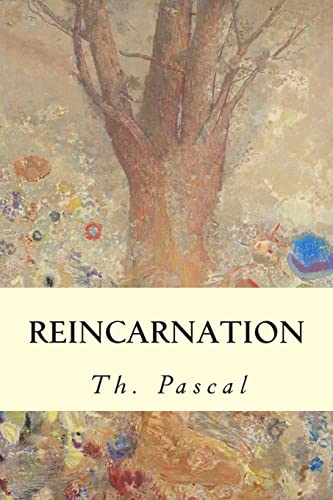 Reincarnation 150619043X Book Cover