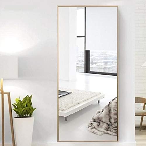 H & A 65"x24" Full Length Floor Mirror, Free Standing Dressing Mirror Bedroom (Gold)