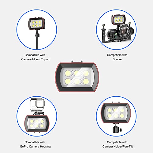 Seafrogs Diving Video Light Waterproof 130Ft/40M White Red Blue Light Underwater Photography Fill Lights High Power 6000 Lumens Flash Light With Ball Head Ys Adapter For Gopro, Housing (Sl-22) #TOP4
