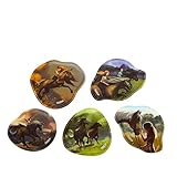 ergobag Kontur Klettie Set passend für Pack/Cubo/Cubo Light/Ease/Mini, 5-teilig Wilde Pferdefreunde - Bunt