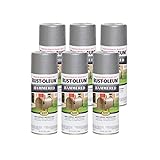 Rust-Oleum 7213830-6PK Stops Rust Hammered Spray Paint, 12 Oz, Silver, 6 Pack