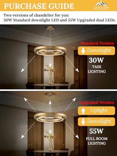 Image of LED 2 Ring Brass Gold Chandelier Dimmable Up Down Light