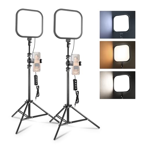 NEEWER Pack de 2 Panneau Lumineux LED Vidéo 15W 27,4cm(10.8) avec Trépieds et Supports de Téléphone de 160cm, Éclairage de Studio Bicolore à Intensité Variable 816 lux CRI95+ pour Photographie, L220