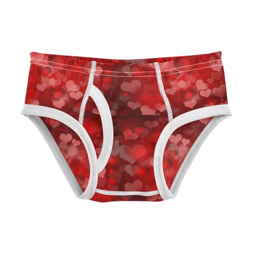 Boys' Exclusive Briefs Toddler Underwear 95% Combed Cotton Boxerbriefs 2T Blurred Heart Pattern 21