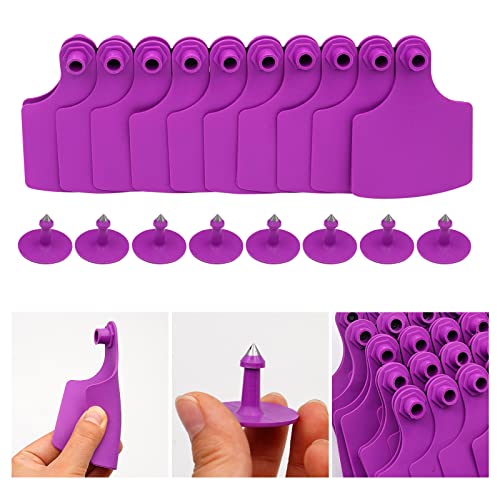 LIUCOGXI 100 conjuntos de etiquetas de orelha de gado em branco grandes etiquetas de orelha de vaca