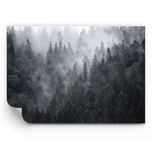 ARTTOR Papel pintado de vinilo tejido no tejido Premium Sand - bosque arbol naturaleza - 100x70 cm - Fotomurales Moderna Decorativos Papel tapiz fotográfico Dormitorio Para la sala - WF2AA100x70-4074
