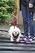 Puppia Soft Dog Harness No Choke Over-The-Head Triple Layered Breathable Mesh Adjustable Chest Belt and Quick-Release Buckle, Brown, Medium