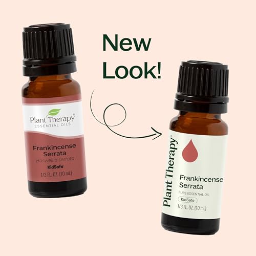 Aceite Esencial Frankincense Serrata 100 mL 100% Puro miniatura 6