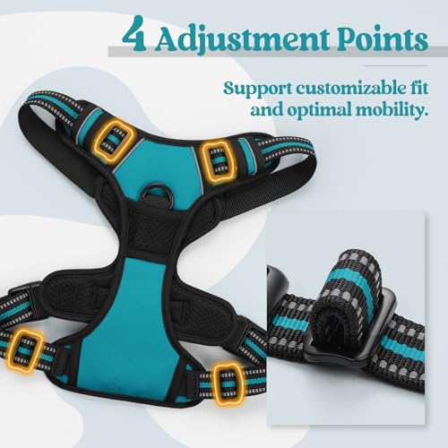 Image of rabbitgoo Dog Harness No Pull with 2 Leash Clips, Adjustable Soft Padded, Reflective Oxford No Choke Pet Vest with Easy Control Handle for Large Dogs, Teal, L