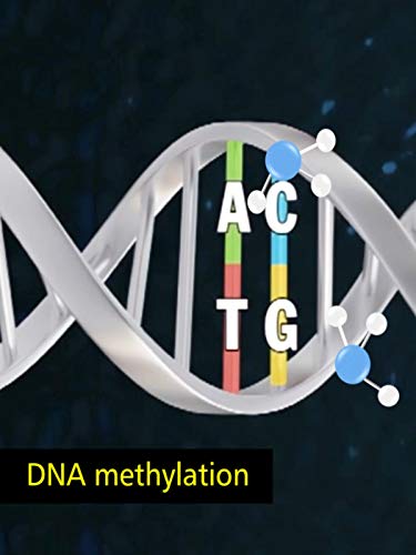 Beyond Genetics