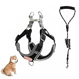YPDOPORA Arnés Antitirones para Perros, Ajustable, con Dos Clips para Correa, Acolchado Ultra Cómodo, Reflectante, para Perros Pequeños Y Medianos,Negro,S