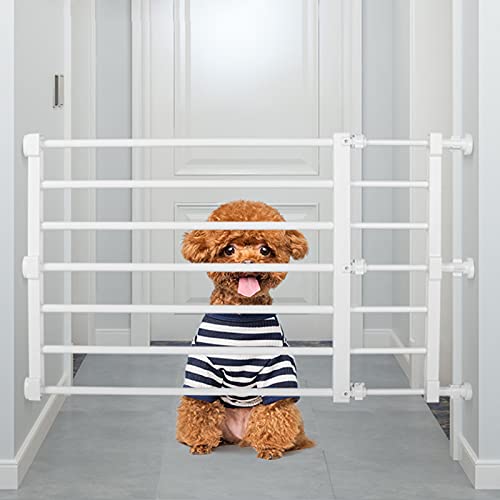 ybgxr[T[NZ[teBQ[gi[ybgZ[teBQ[g|[^uhbOQ[g͐ݒuیtFXLb`Axbh[AoX[̊Ki肷qp̎tƐ|ȒP/93-160Cm*42Cm