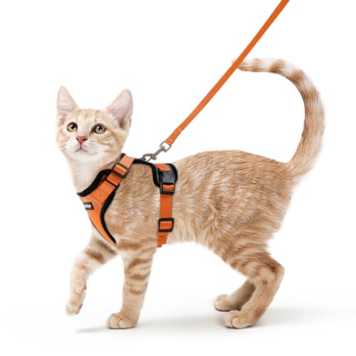 rabbitgoo Cat Harness and Leash for Walking,...