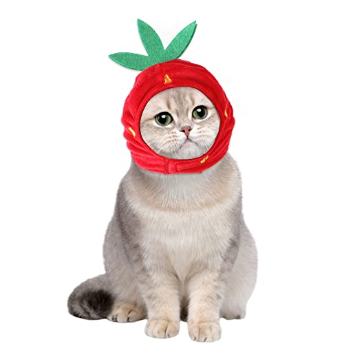 Sombrero disfraz fresa para mascota tamaño ajustable miniatura 4