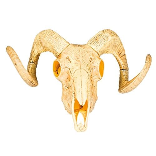Boland 54319 - Dekoration Tierschädel mit zwei Hörnern, 28x36 cm, Stier, Wilder Westen, Partydeko für Mottoparty und Karneval Boland 54319 - Dekoration Tierschädel mit zwei Hörnern, 28x36 cm, Stier, Wilder Westen, Partydeko für Mottoparty und Karneval