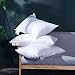 Coozii Goose Down Alternative Pillows （2 Pack,Queen Soft） 100% Egyptian Cotton with Microfiber Filling Sleep Pillow,Soft,Warm,Washable