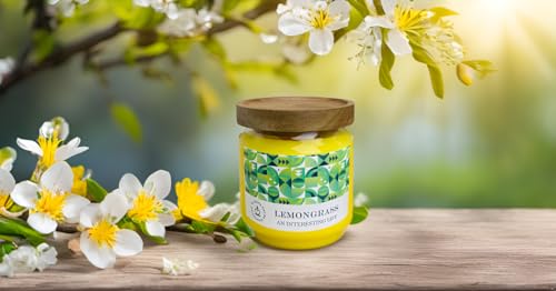 Fasize CANDLES Outdoor Decorative Yellow Large Citronella Candle, 16Oz, Glass, Strong Lemongrass Scented Candles, For Patio Decor, Outside Table Decor, Camping Accessories, Beautiful Candle Jars thumb #4