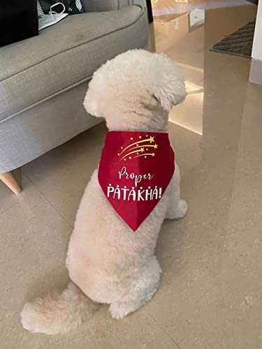 Image of Quirky Dog Bandana: Proper Patakha Bandana for Pets | Easy to Wear Slip On Dog Bandana
