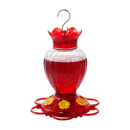 Hummingbird Feeder 20 oz Glass Hummingbird Feeders for Outdoors, with Built-in Ant Guard and Bee Proof - 6 Feeding Ports - Wide Mouth for Easy Filling/2 Part Base for Easy Cleaning