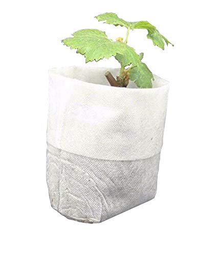 HONGVILLE 150pcs 0.15 Gallon Non-Woven Fabric Nursery Seedling Plant Grow Bags 8x12cm (3.15x4.73 in)