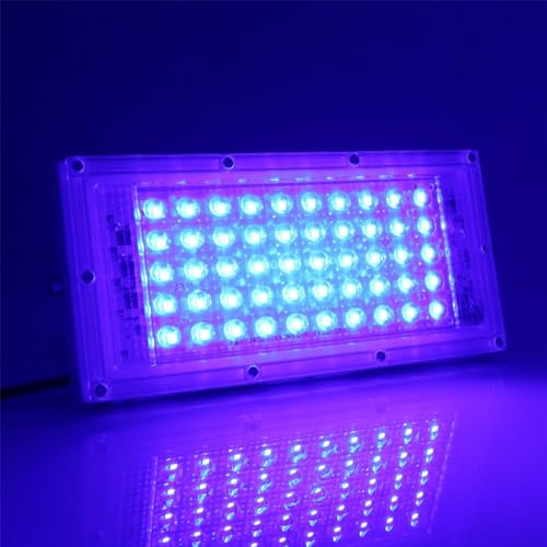 MODOAO projecteurs d'extérieur 50 W 4800 lm LED bleu étanche IP66 pour cour, jardin, garage, pelouse, cour