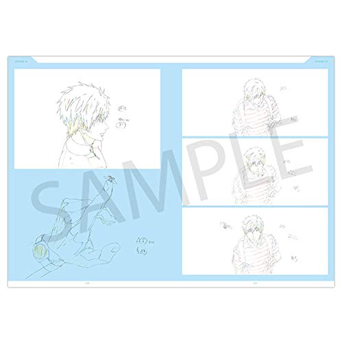 Amazon.co.jp: Free!DF KEYFRAMES COLLECTION Vol.3 Dive to the