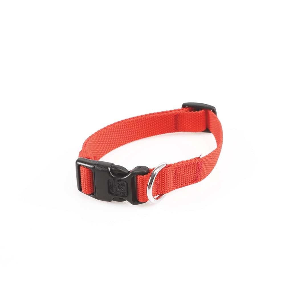 M-PETS JOLLY KÖPEK BOYUN TASMASI RED (M)