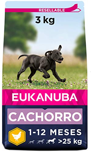 Eukanuba Alimento seco para cachorros de raza grande, rico en pollo fresco 3 kg