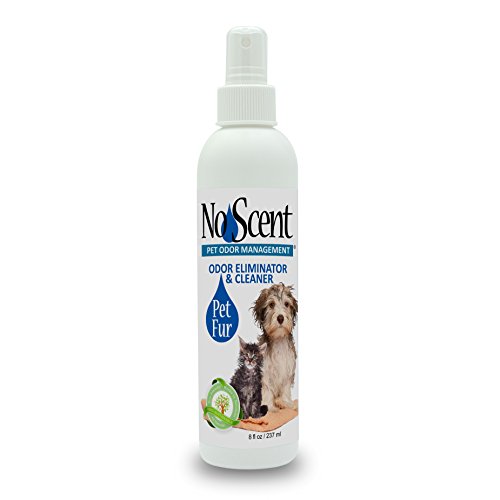 No Scent Pet Fur - Professional Dog & Cat Grooming Odor Eliminator & Coat Cleaner Between Bath Spray - Safe Natural Fast Microencapsulating Smell Remover and Fur Freshener for All Pets (8 oz)