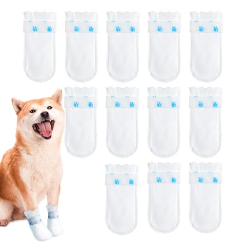 pMvXJo[ApьC,pJo[12X ybgtbg nCLO V[Y - O≮ł̎UɍœKȁA߉\ȔSѕt̎ĝĖhpu[c12Zbg hybg̑\bNXveN^[AOщEH[LOp̒߉\ȔS