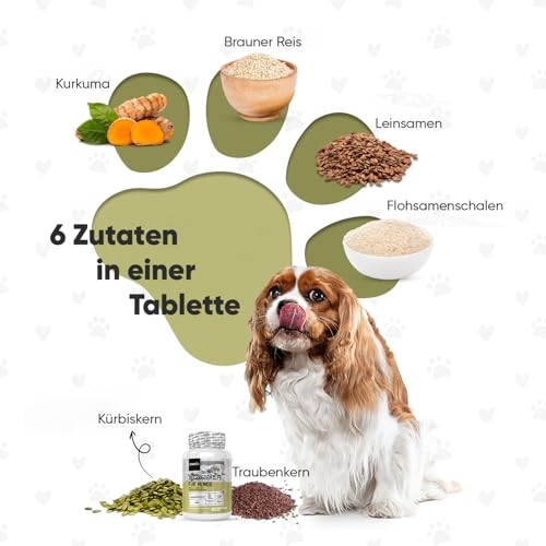 animigo Allergiehilfe für Hunde - 120 Allergie Tabletten für Haut-, Umwelt- & Nahrungsmittelallergien - Mit Kurkuma, Flohsamenschalen, Leinsamen, Traubenkernextrakt, Kürbiskern, Mit Huhn Geschmack