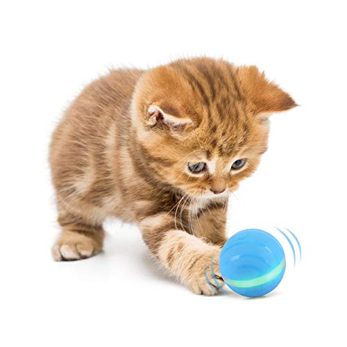 BEELIKE Cat Toys Cat Balls Smart Interactive Cat Wicked Ball 360 Degree Self Rotating Cat Toy USB Rechargeable Kitty Toys