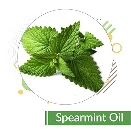 Image of Crysalis Spearmint (Mentha Spicata) Oil |100% Pure & Natural Undiluted Essential Oil Organic Standard Spearmint Antioxidant Oil Reduces Fine Lines & Skin Imperfections ,Reduce Breakouts -100ml Dropper