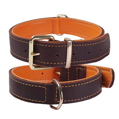 Collier pour Chien en Cuir, Véritable Robuste Réglable Rrembourré, pour Chiens de Taille...