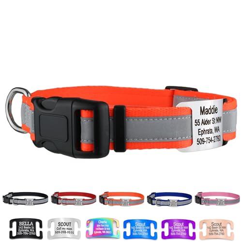 Orvis Dog Collar The 15 best products compared Wild Explained