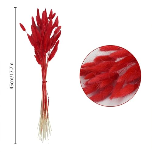 Pampas Grass Decor Tall 150Pcs Flores Secas Rojas miniatura 2