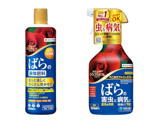 yZbgz ZFw| 엿 }C[Y ΂̉t̔엿 800ml & EEۍ xjJXt@CXv[ 950ml
