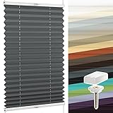 SchattenFreude Plissee nach Maß für Fenster & Tür | Zum Anschrauben in der Glasleiste | Lichtdurchlässig