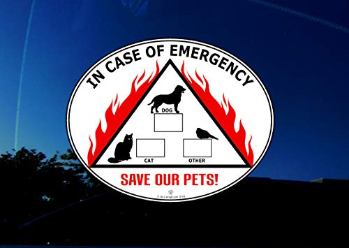 Cat Scratching Funny Cute Vinyl Car Bumper Window Sticker 5