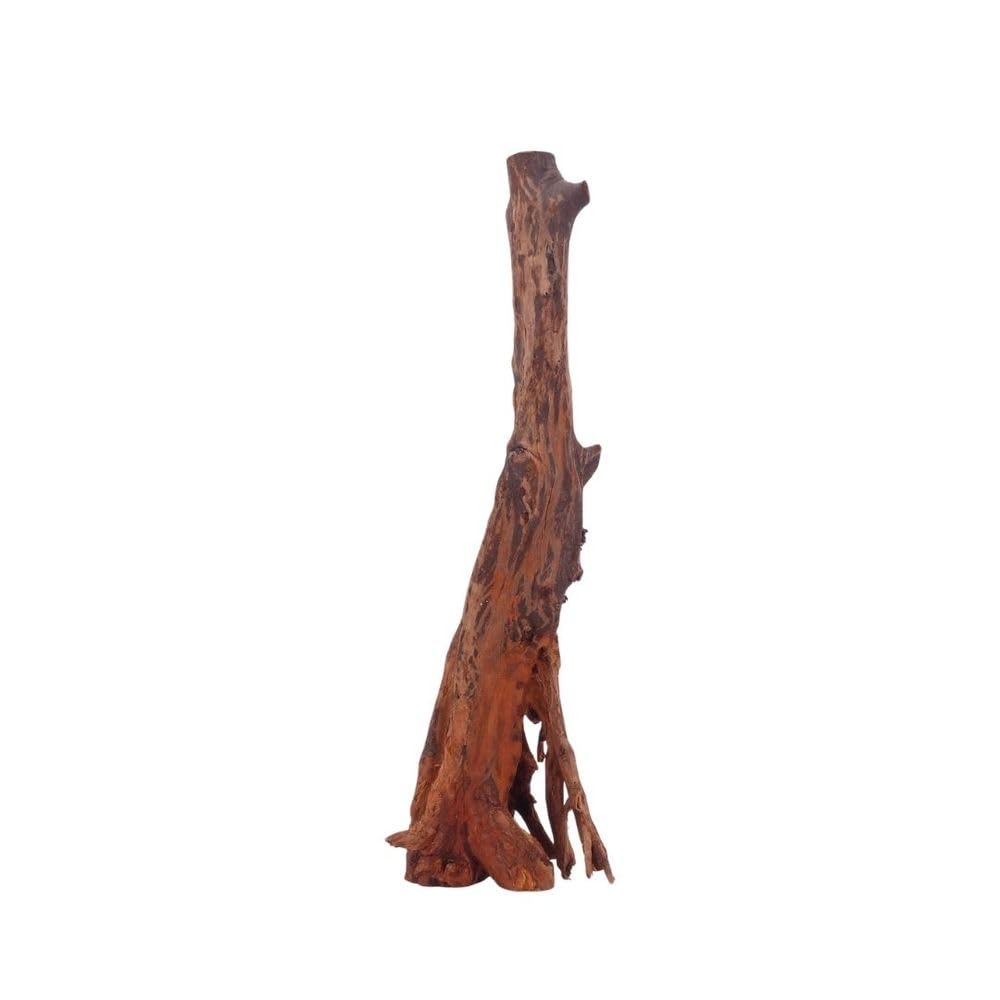 AquaOne Aquarium Wurzel M Jungle Wood Nr.4440 Aquarium Wurzel Holz Deko Aquascaping Dekoration Landschaft Moos Natur Echtholz