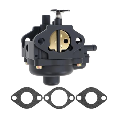 Carburateur pour Toro CCR3650 CCR2450 souffleuse pièce réparation carb essence