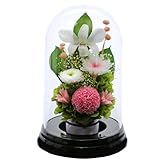 アートフォーシーズン▲お供えマムドーム プリザーブドフラワー (ピンク)